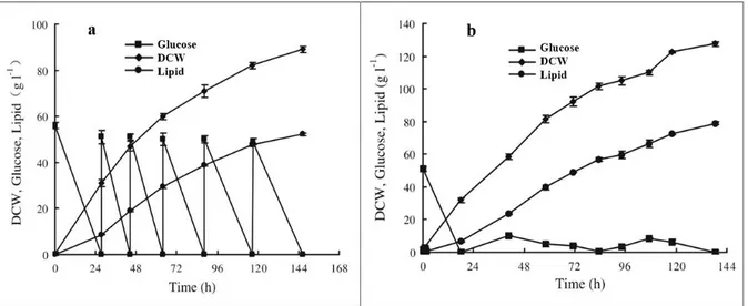 Figure  2.4.  Example  of  fermentation  kinetics  of  glucose  consumption,  dry  cell  weight  (DCW)  production and lipid accumulation in intermittent (a) and continuous (b) fed-batch feeding
