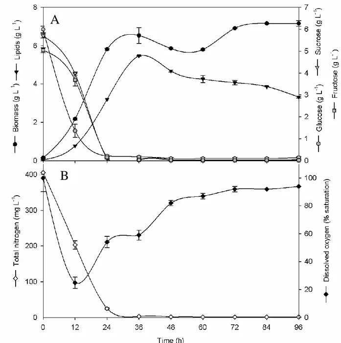 Fig. 6.3 Time course of lipid and biomass production and glucose, sucrose and fructose consumption  (plot A) by R