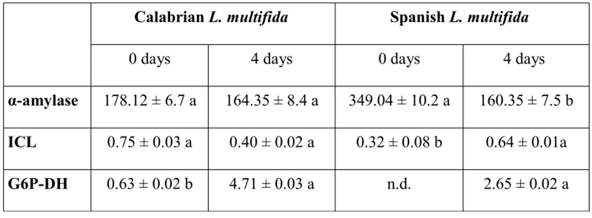 Table I. Activities of hydrolyzing enzymes in seeds at 0 and 4 days after sown. α-amylase activity was  expressed as μg  maltose   per   mg   of   protein