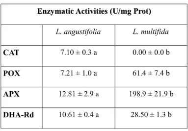 Table III.  Analysis of enzymatic  antioxidants in leaves of  L. angustifolia  and  L
