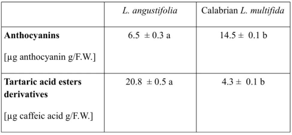 Table V. Quantification of anthocyanins and tartaric acid esters derivatives in fresh leaf extracts of  L
