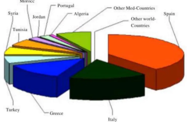 Figure 1 Olive residue production (metric tons) in producer country (Hanifi and Hadrami, 2009) 