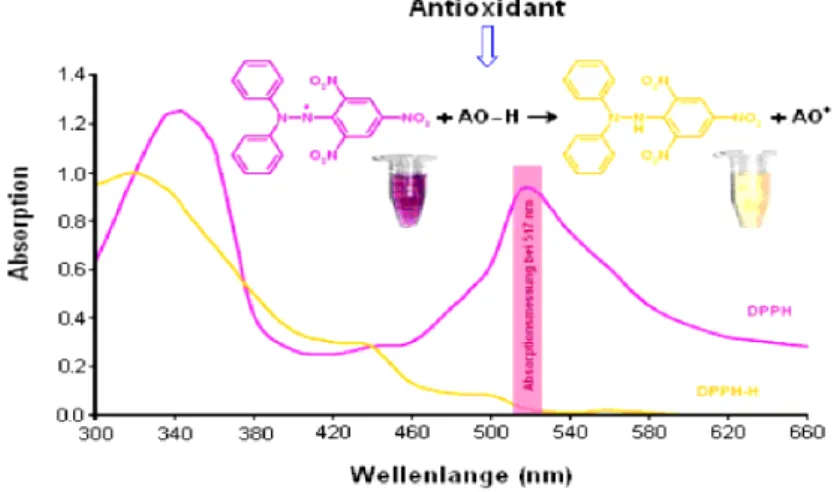 Figure 11 Reaction mechanism of DPPH whit an antioxidant (AO-H) (Boling et al. 2014) 