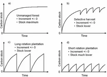 Figure 1. Schematic carbon stock development of aboveground biomass under different management system  (redrawn from WBGU 1998) 