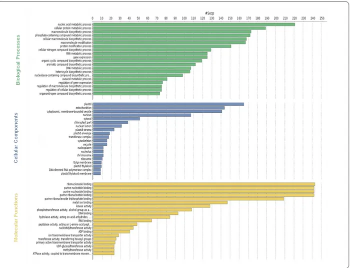 Fig. 4 Gene Ontology (GO) functional classification using Blast2GO. Histograms of the frequency of transcripts  1068 