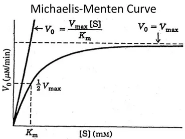 Figure 1.10: Michaelis-Menten plot.  