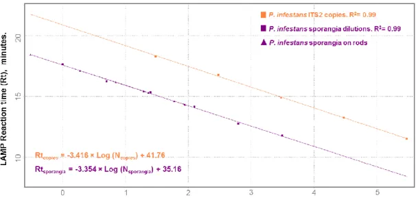 Figure  IV-3  Double  regression  analysis  of  the  qLAMP  assay  predictions  of  the  number  of  P