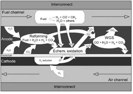 Figure 2.9. Schematic representation of the possible reactions within an SOFC fed with syngas 