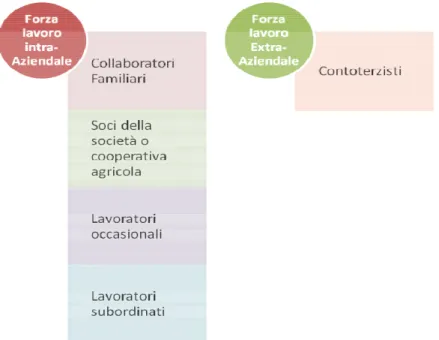 Figura 5 – Tipologie di lavoratori maggiormente diffuse in Agricoltura 