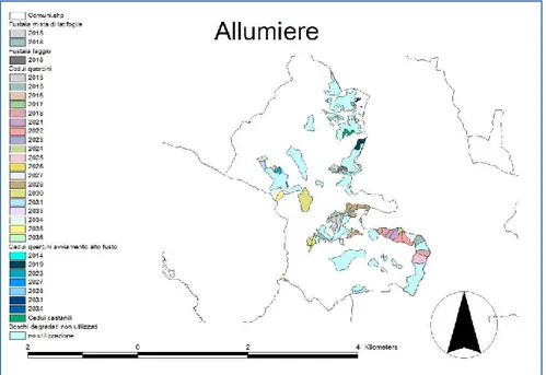 Figura 7: localizzazione della biomassa forestale in base alla tipologia di governo ed agli anni di taglio