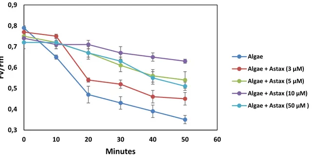 Fig. 3.  PSII activity measured by the biosensor as Fv/Fm ratio. The initial Fv/Fm ratio is reported in  Table 2