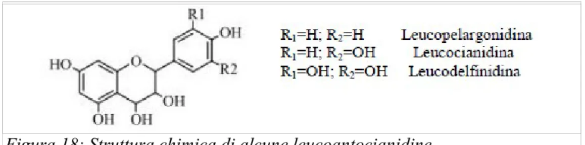 Figura 19: Struttura chimica di alcuni flavanoni più comuni in natura Figura 18: Struttura chimica di alcune leucoantocianidine 