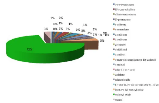 Figura 35: Composizione percentuale dell'olio essenziale di Cistus creticus  subsp. eriocephalus raccolto nella stazione di Cala Gonone