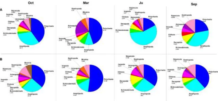 Fig. 5.15 Pie charts of taxonomic groups found in each sampling. A) Individuals; B) Species 