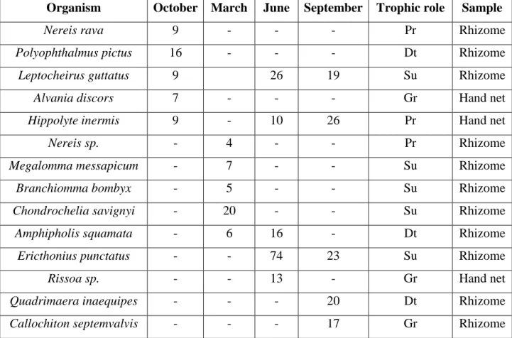 Table 5.9 Dominant species observed in different surveys, trophic role and sample where are found 