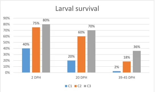 Figure 17: Larval survival (%) at 2, 20 and 39-45 days post-hatching (DPH). 