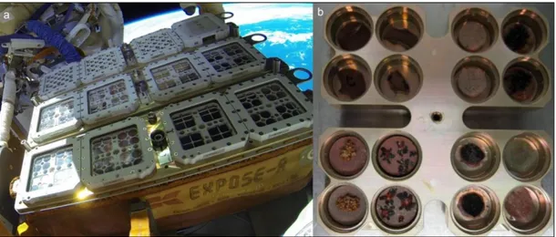 Fig.  2.2  a)  EXPOSE  R2  Facility  mounted  outside  the  ISS  from  October  22 th 2014;  b) 