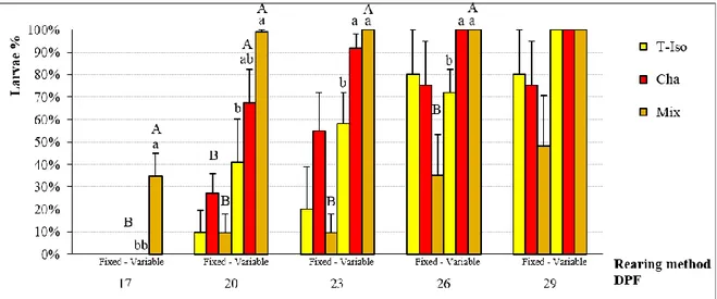 Figure 14: Larval development percentage at the competence stage (Cp). Days post fertilization (DPF), 