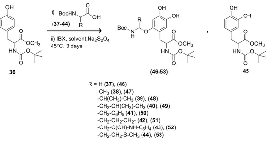 Table 1. Synthesis of O-C bonded L-Dopa peptidomimetic 