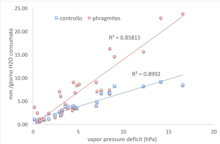 Fig.  9  rappresentazione  dell’andamento  delle  correlazioni  lineari  del  rapporto  tra  VPD  e  consumi  idrici  evaporativi dei mesocosmi di controllo (in blu) e evapotraspirativi dei mesocosmi con Phragmites australis (in  rosso) 