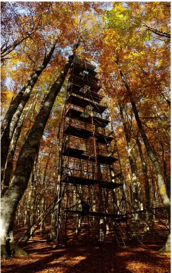 Figura 7: Torre per il monitoraggio dei parametri climatici e dei flussi di carbonio 