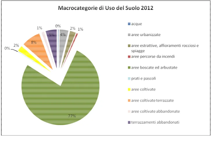 Figura 34: Grafico a torta delle macrocategorie di uso del suolo presenti nel 2012 