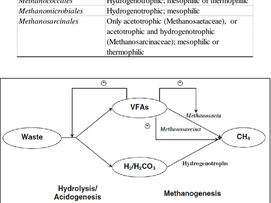 Table 3 – Summary of methanogenic archaea orders and main physiology  