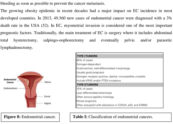 Figure 8: Endometrial cancer.  Table I: Classification of endometrial cancers. 