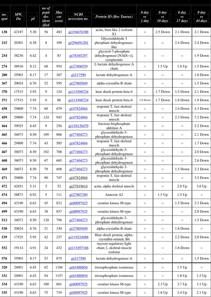 Table 8 – Differential proteins as gleaned from 2DE analyses of Longissimus thoracis muscles at post mortem days 0, 1, 10, 17 and 44 