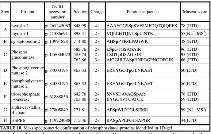 TABLE 10. Mass spectrometric confirmation of phosphorylated proteins identified in 1D-gel