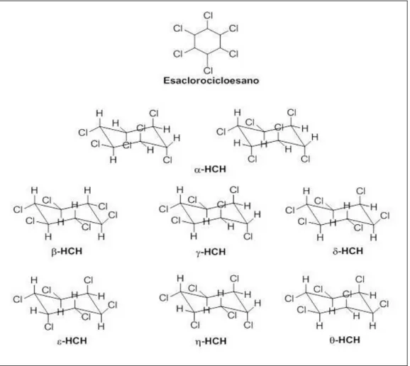 Figura 3: Struttura chimica degli otto isomeri dell’esaclorocicloesano (HCH). 