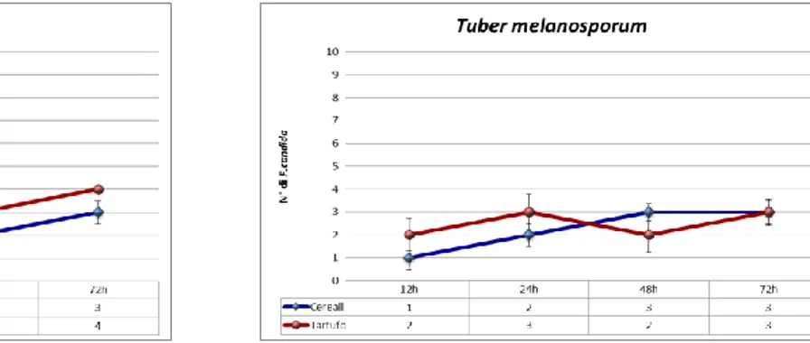 Figura 10: Media±Errore Standard del numero di individui nei test di preferenza alimentare con  Folsomia candida per entrambe le  specie di tartufo analizzate 
