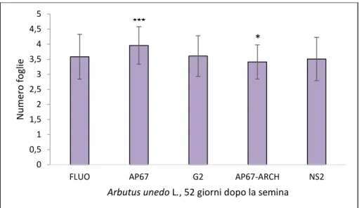 Figura  3.4  Diametro  del  fusto  di  Arbutus  unedo  L.  al  termine  dell’allevamento  in  tradizionali  camere  di  crescita