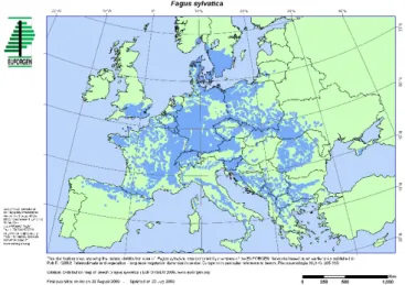 Figura 1 - Mappa di distribuzione del faggio in Europa (Fonte: EUFORGEN) 