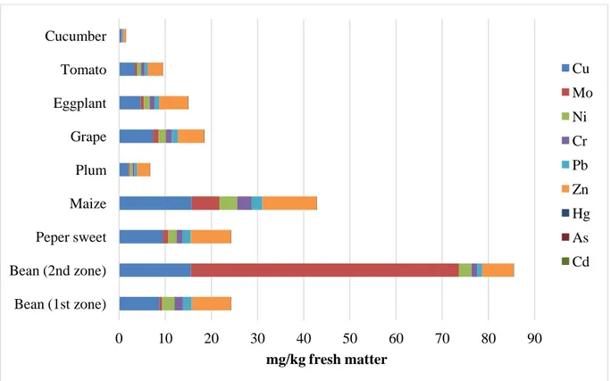 Figure 1. The content of contaminants in fruit vegetables and grains from investigated  areas 