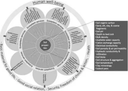Fig  1.1.  Links  between  key  soil  properties  to  ecosystem  services  through  soil  functions  for  the well-being of humans (Source: Adhikari and Hartemink, 2016)