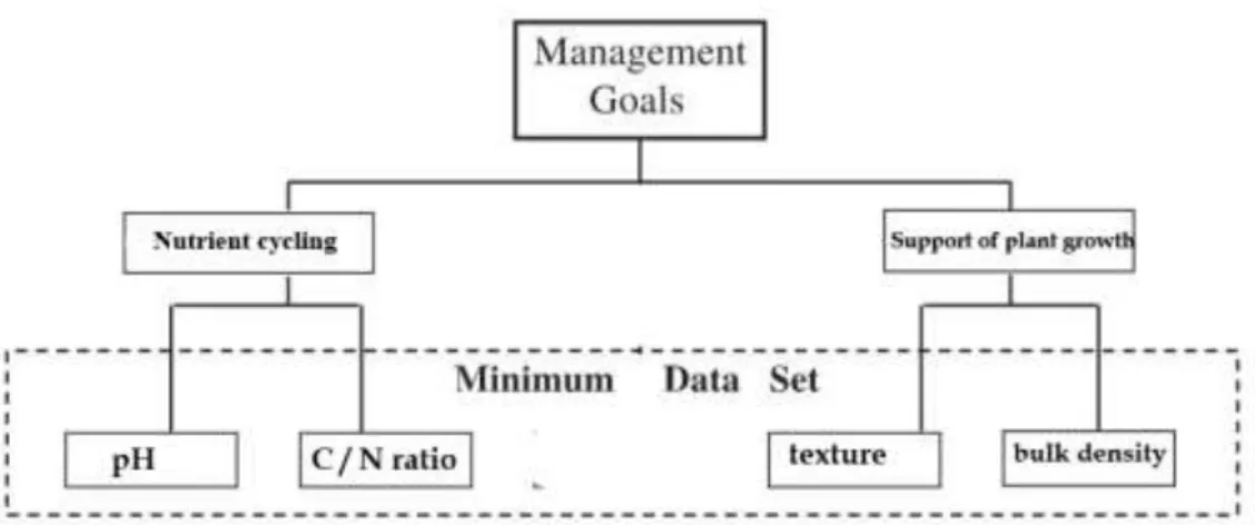 Figure  1.5.  Brief  example  of  a  framework  for  selecting  indicators  for  a  minimum  data  set  (adapted after Karlenet al 2003)