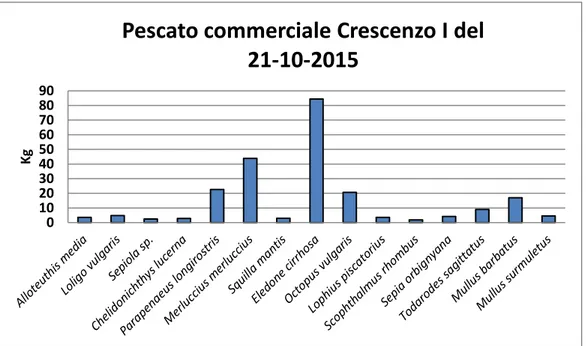 Fig. 33. Pescato commerciale totale Crescenzo I (21-10-2015). 