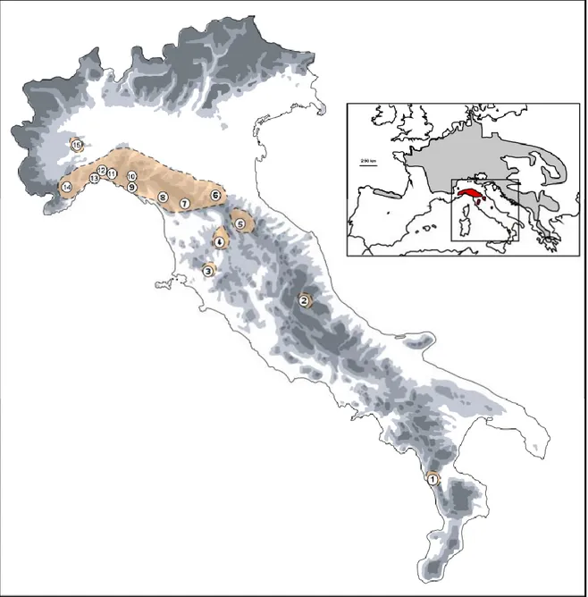 Figure 1 Geographic distribution of Ichthyosaura alpestris within Apennine peninsula and 