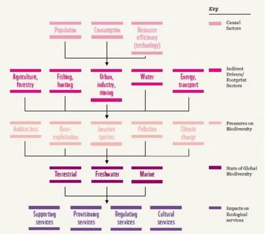 Figure 1.2. Interconnections between people, biodiversity, ecosystem health and provision  of ecosystem services 