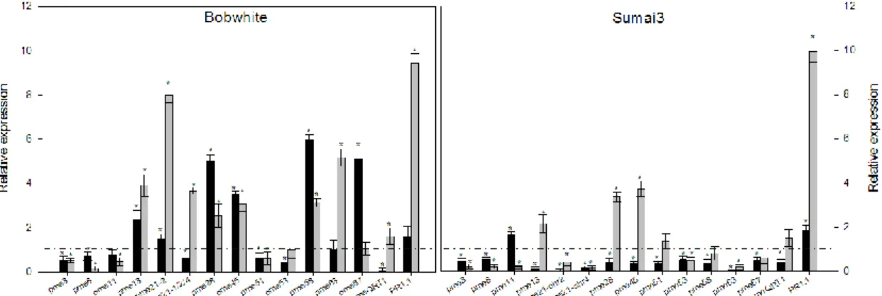 Figure 5. qRT-PCR showing PME genes expression in cv. Bobwhite and cv. Sumai3 following 