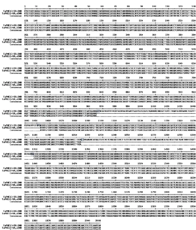 Figure S1. Multiple alignment of the TaPME13-5A genomic sequence from the nulli-tetrasomic  lines of cv