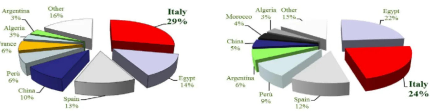 Figura 5. Superficie coltivata a carciofo e tonnellate prodotte nel mondo (dati FAO 2012) 