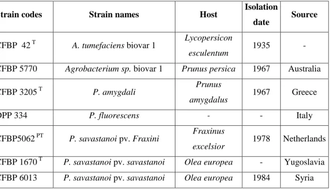 Table  1:  Reference  strains  of  Agrobacterium  spp.,  Erwinia  spp.,  Pseudomonas  spp