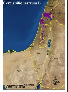 Fig. 45: Distribution map of native trees/shrubs generated from the database of resource survey