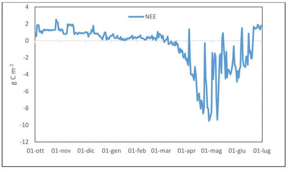 Figura 30. Andamento della NEE registrata dalla stazione EC durante il ciclo colturale 2009-2010