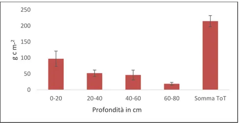Figura 33. Grafico relativo alla raccolta delle radici di frumento alla profondità 0-80 cm con carotatore conico a 
