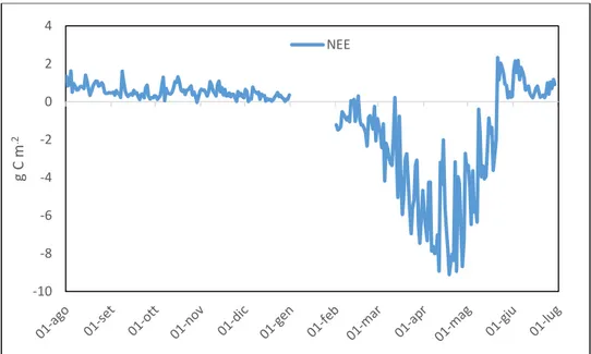 Figura 36. Andamento della NEE registrata dalla stazione EC durante il ciclo colturale 2010-2011