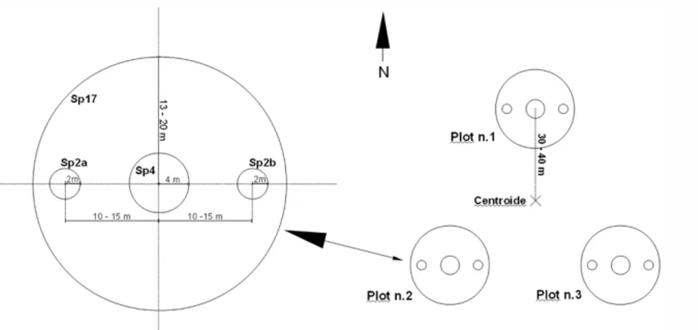 Figura 5. Schema della disposizione dei sub-plot al'interno dei plot. 