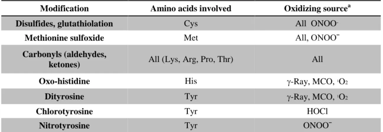 Table 3-Oxidative Modifications of Proteins [Shacter 2000] 